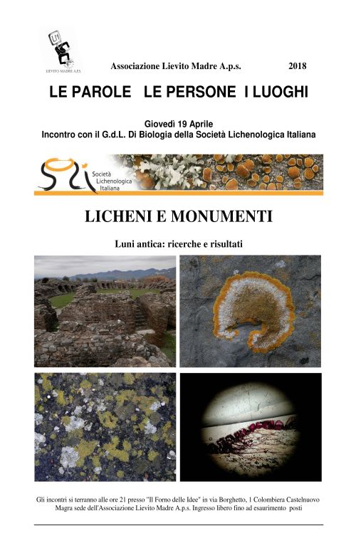 Licheni e Monumenti