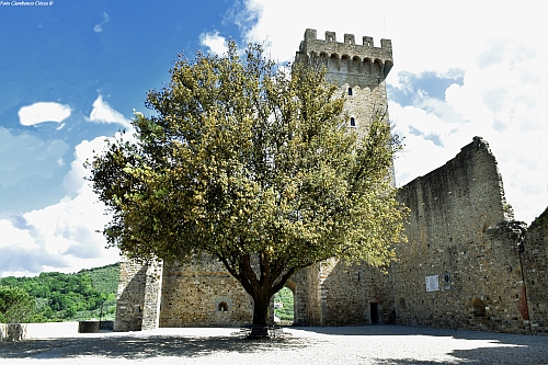 La quercia di Arnaldo Mussolini